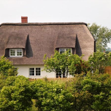 Haus Am Leuchtturm Apartment Пелворм Екстериор снимка